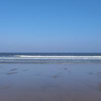 喜庆的水滴VTM头像