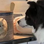 GARCHENG的个人资料头像