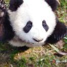 butcat的个人资料头像