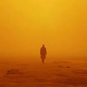 magbone的个人资料头像