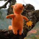 何仙姑的个人资料头像