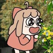 煎饼虎子的个人资料头像