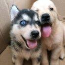 爱学习87468的个人资料头像