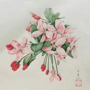 初夏雨的个人资料头像