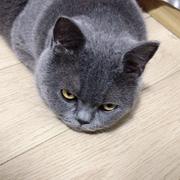 可以乐的个人资料头像