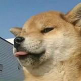 知秋一叶2738头像