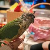 總該長大丶头像