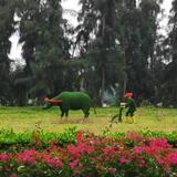 东方渝龙头像