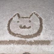 请输入用户名女士的个人资料头像