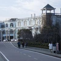 遥映人间冰雪样i头像