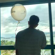 WHY的个人资料头像