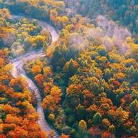 遁入虚空的路人头像