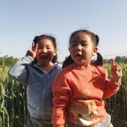 banqiaoxu的个人资料头像