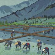 張國帥的个人资料头像