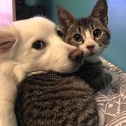 失眠飞行家的个人资料头像