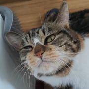 云云飞的个人资料头像