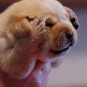 我会记得你啊的个人资料头像