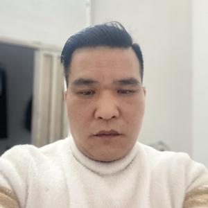 夜猫聊人生头像