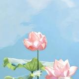 小枫1891头像