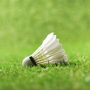 正直卡罗尔9E9头像