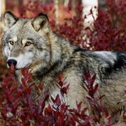 is秀儿true的个人资料头像