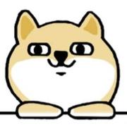 小肥柴132的个人资料头像