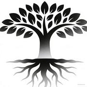 Tomas_Q的个人资料头像