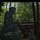 正义凛然橙子lJA头像