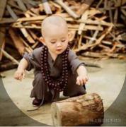 cv小将的个人资料头像