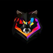 mechenik的个人资料头像