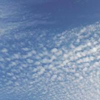 时光匆匆1937头像