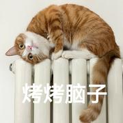 美女不想说太多的个人资料头像