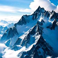 雷雷的三七世界头像