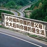 外向星空zvT头像