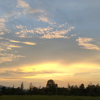 好运随我i行头像