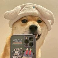 就是SK啊头像
