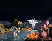 X星球的个人资料头像