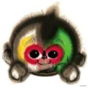 damiancool的个人资料头像