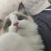 三月与烟花头像