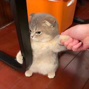 圈圈669的个人资料头像