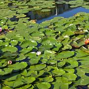 分享者爱学英语的个人资料头像