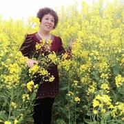 伍老师的个人资料头像