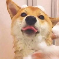 用户6694074930859头像