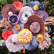 阿吉2024的个人资料头像