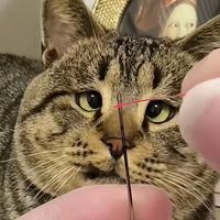 爱生活爱闲聊头像