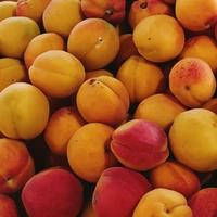 用户1627467693311头像