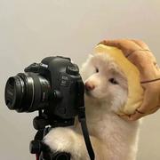 AAA王斌的个人资料头像