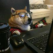 MJH的个人资料头像