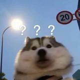 用户6074277257297头像