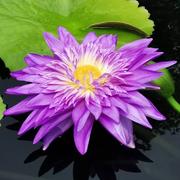 你是我朋友的个人资料头像